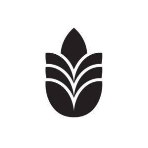 designSimple logo identity entertainment marketing wheat
